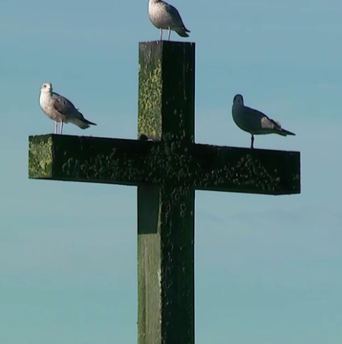 Pour une fois, c'est la Croix qui porte les oiseaux.